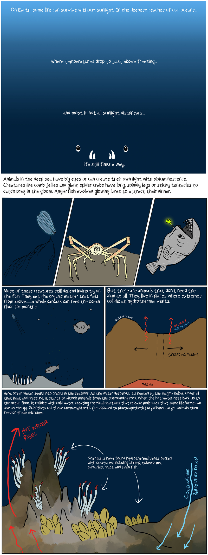 Illustration for article titled What Would Life on an Ocean Moon Look Like?